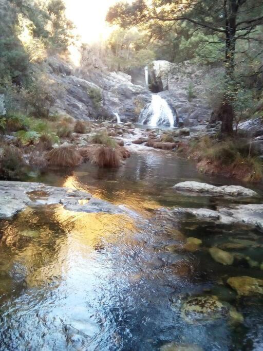 Viana Do Castelo - Amonde Village -Casa A * Relax Εξωτερικό φωτογραφία