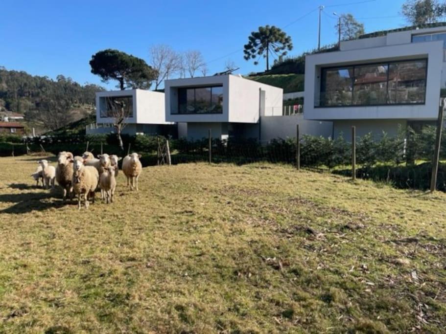 Viana Do Castelo - Amonde Village -Casa A * Relax Εξωτερικό φωτογραφία